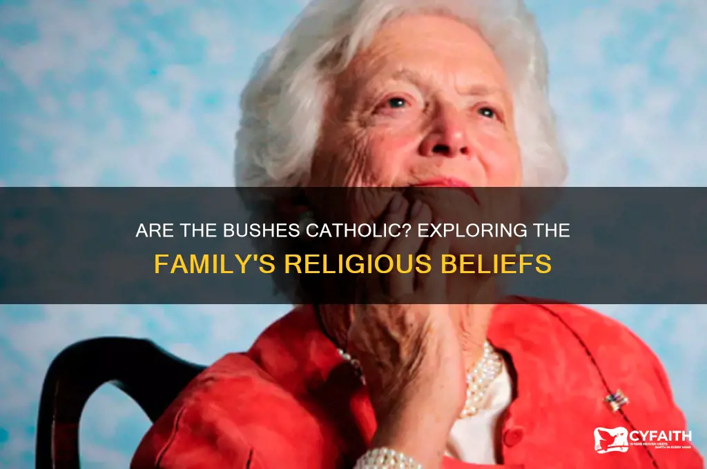 are the bushes catholic