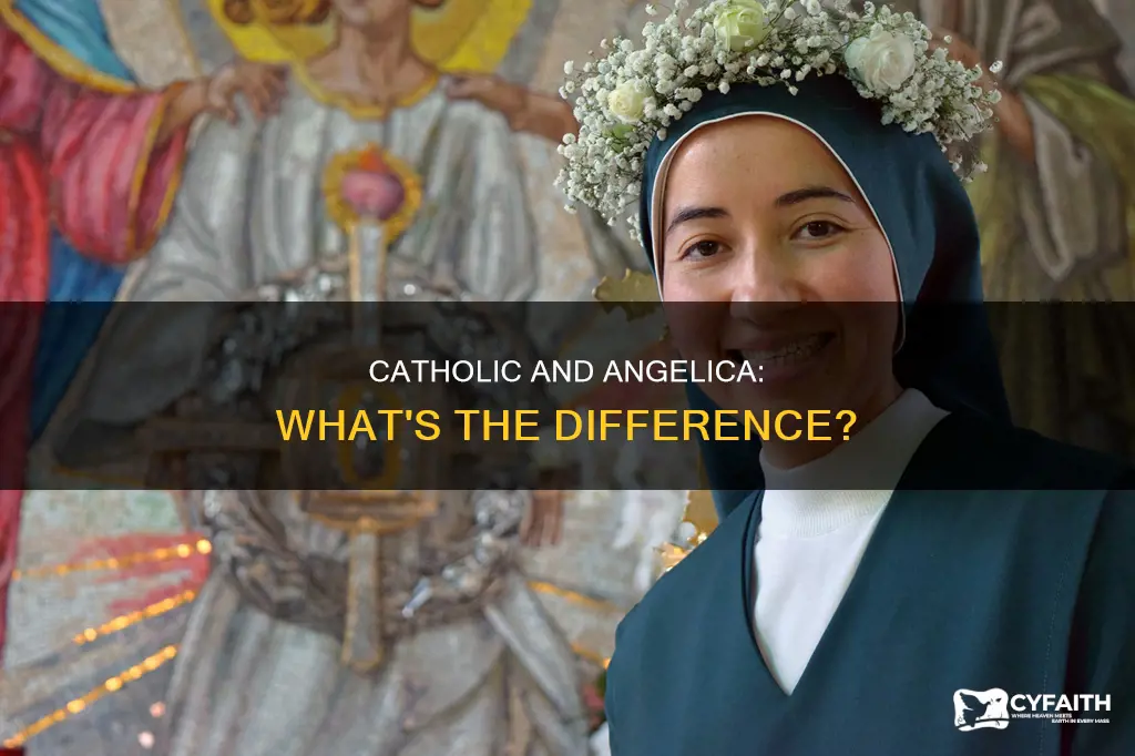 are the catholic and angelica the same