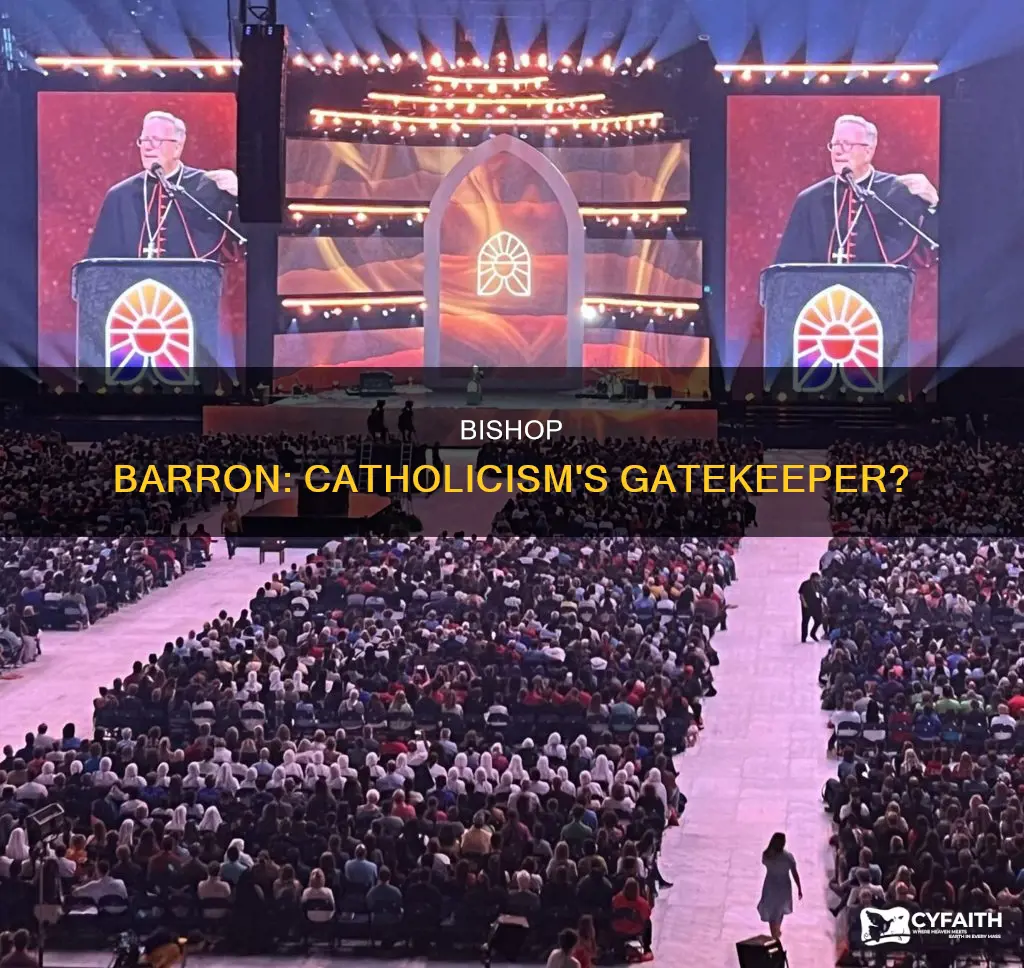 are the catholics alright with that bishop barron