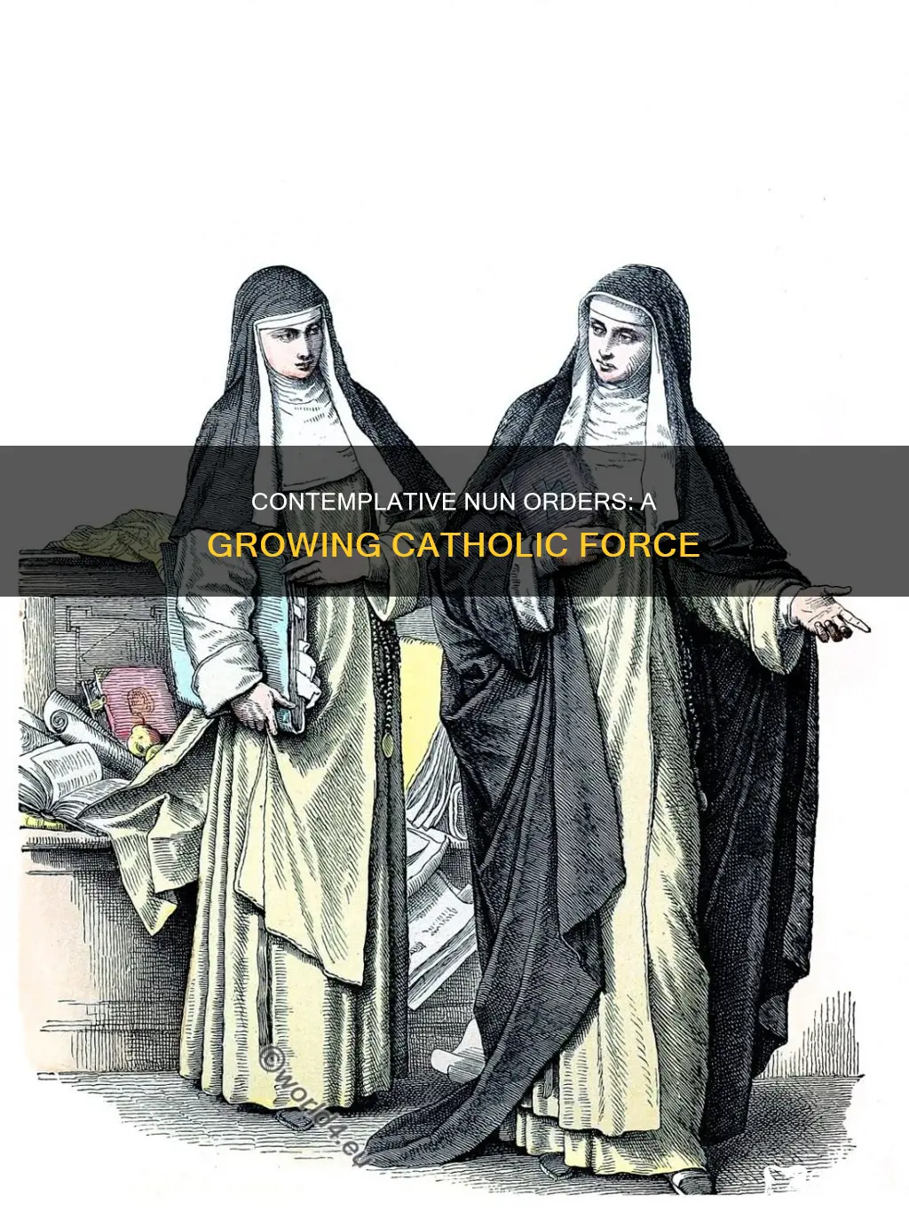 are the contemplative nun orders increasi g catholic