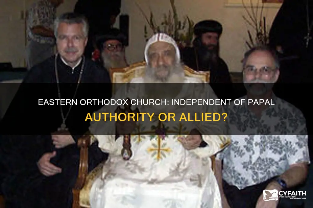 are the eastern orthodox church beholden to the pope