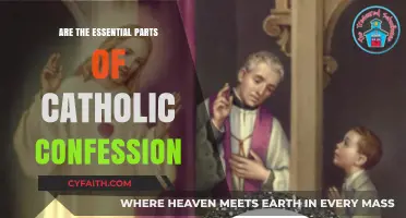 Understanding the Key Elements of Catholic Confession
