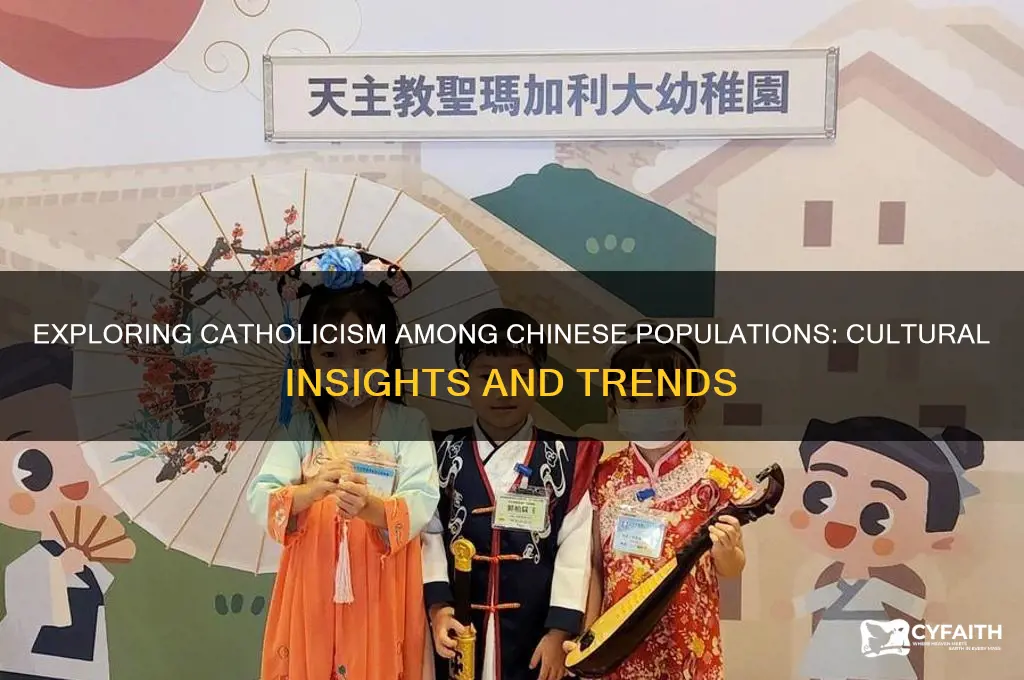 are the ginese people catholic