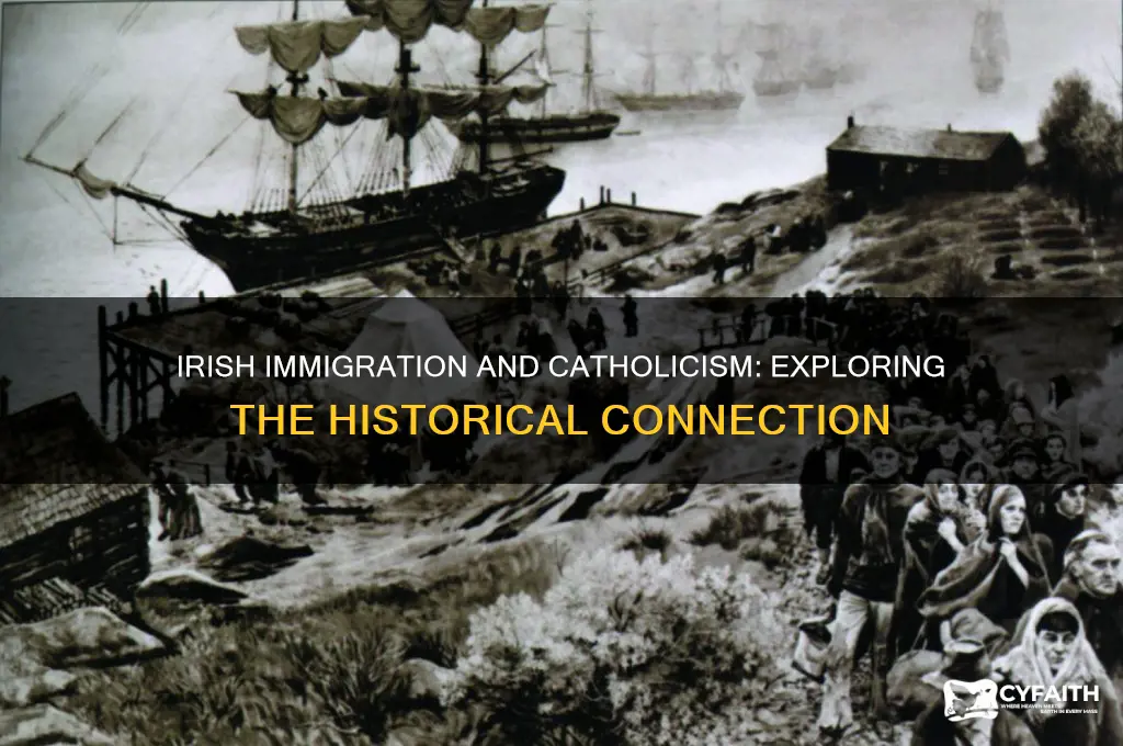 are the irish immigrants catholic