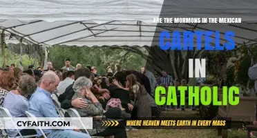 Mormons, Mexican Cartels, and Catholicism: Unraveling Complex Religious Ties