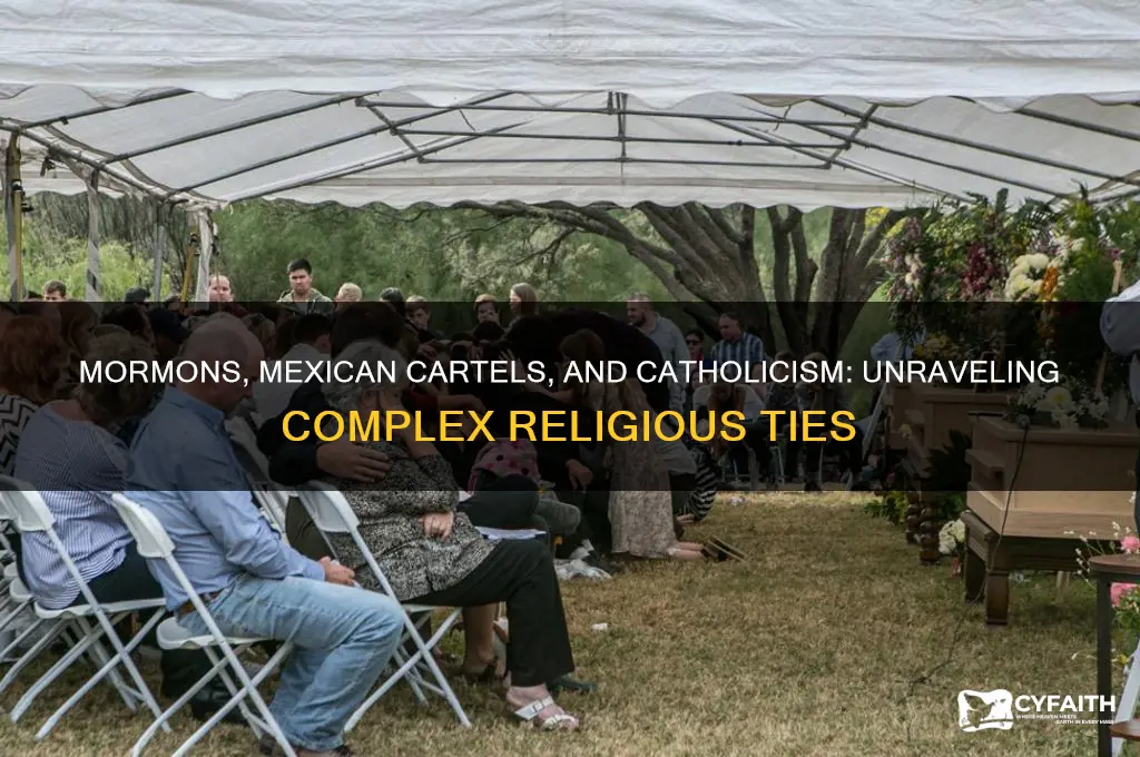 are the mormons in the mexican cartels in catholic