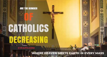 The Decline of Catholicism: A Worrying Trend?
