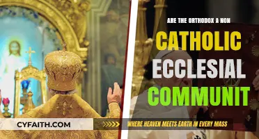 Orthodox: Non-Catholic Ecclesial Community?