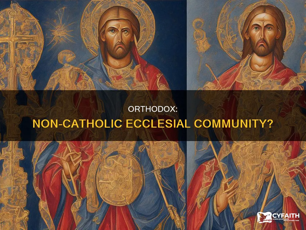 are the orthodox a non catholic ecclesial community