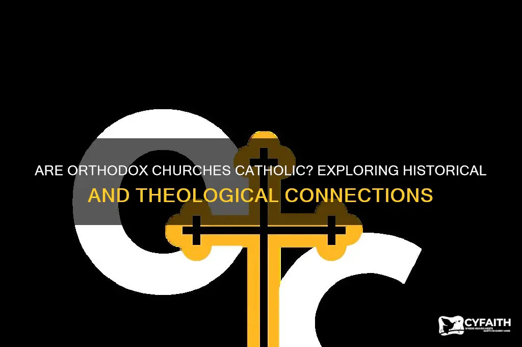 are the orthodox churches catholic