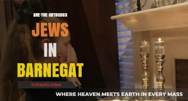 Orthodox Jews in Barnegat: Community Presence and Local Impact Explored