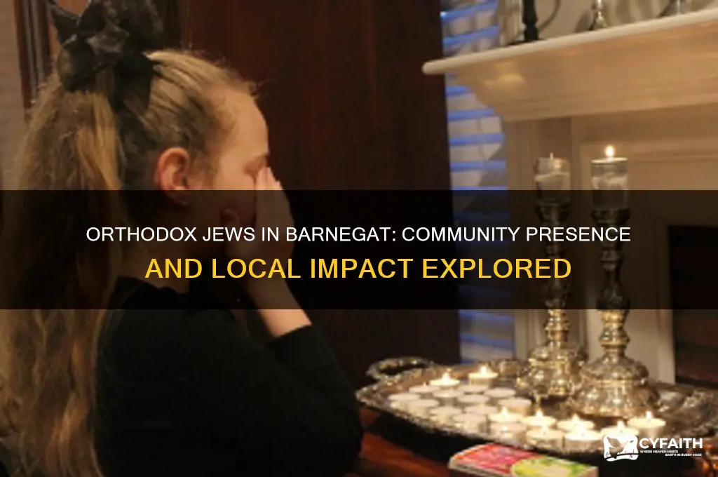 are the orthodox jews in barnegat