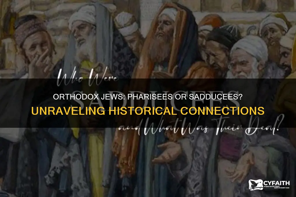 are the orthodox jews the pharisees or saducees