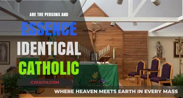 The Catholic View: Person and Essence Identity