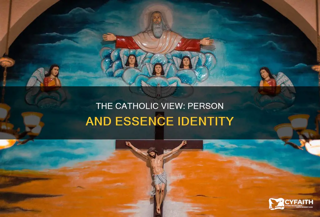 are the persons and essence identical catholic