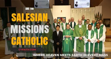 Are Salesian Missions Catholic? Exploring Their Faith and Global Work