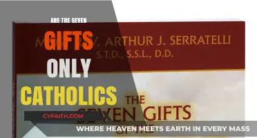 Who Receives the Seven Gifts of the Holy Spirit?