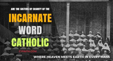 Are the Sisters of Charity of the Incarnate Word Catholic?
