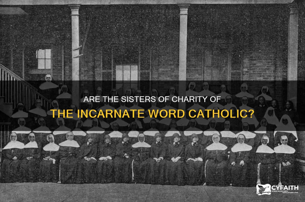 are the sisters of charity of the incarnate word catholic