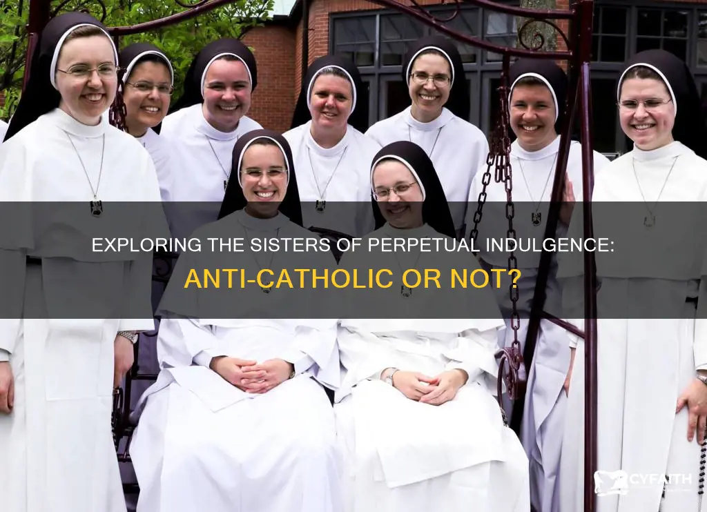 are the sisters of perpetual indulgence anti catholic
