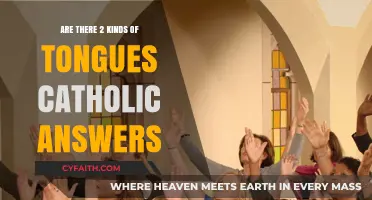 Tongues in Catholicism: Two Types, One Meaning