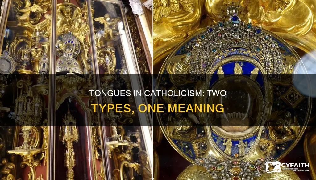 are there 2 kinds of tongues catholic answers