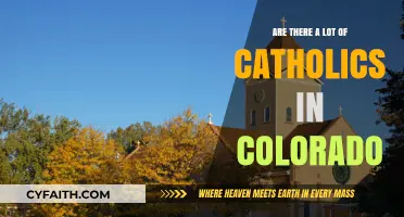 Catholics in Colorado: A Growing Community