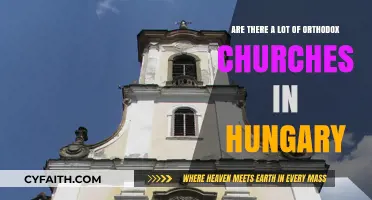 Exploring Hungary's Orthodox Churches: A Look at Their Presence and Influence
