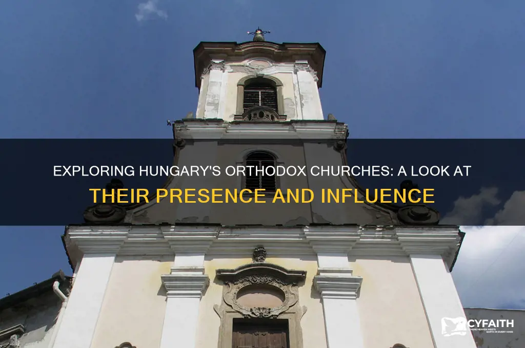 are there a lot of orthodox churches in hungary