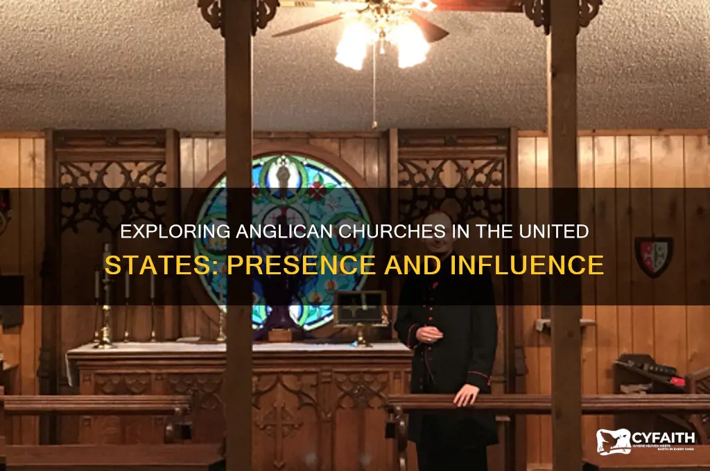 are there anglican churches in the us