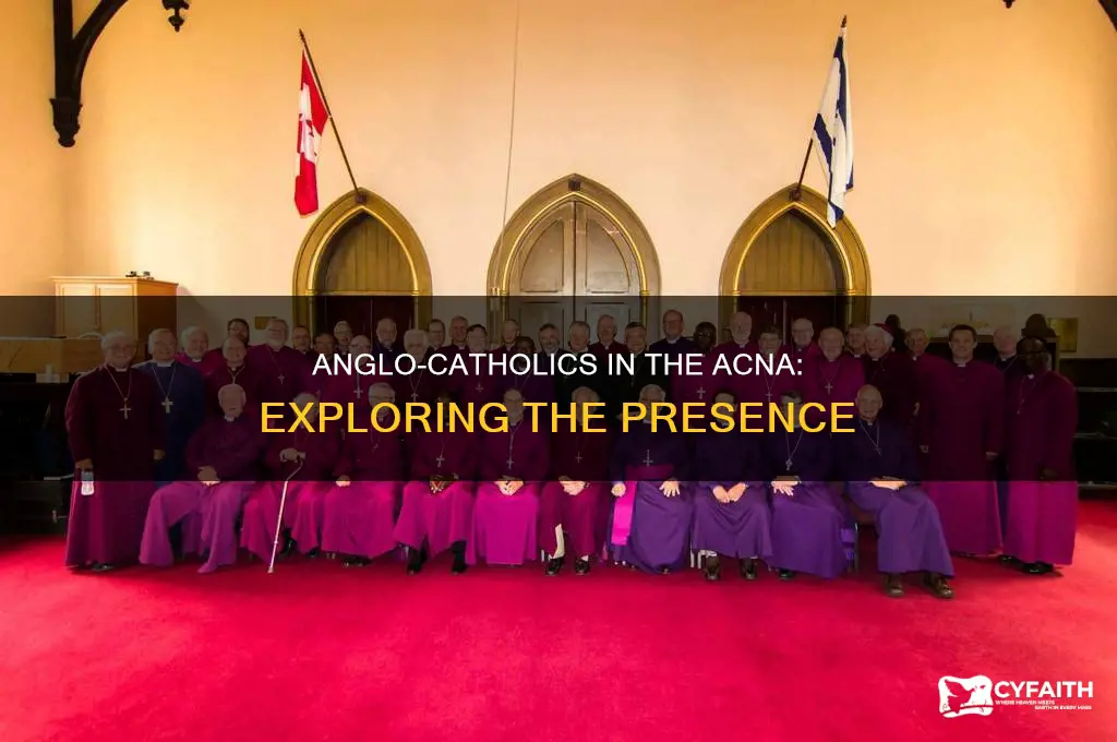 are there anglo catholics in the acna