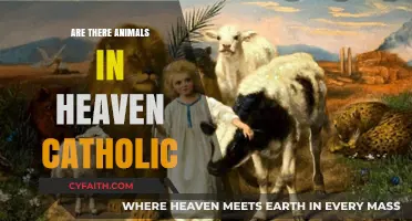 Animals in Heaven: A Catholic Perspective