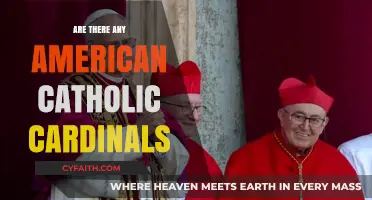 American Catholic Cardinals: Who Are They?