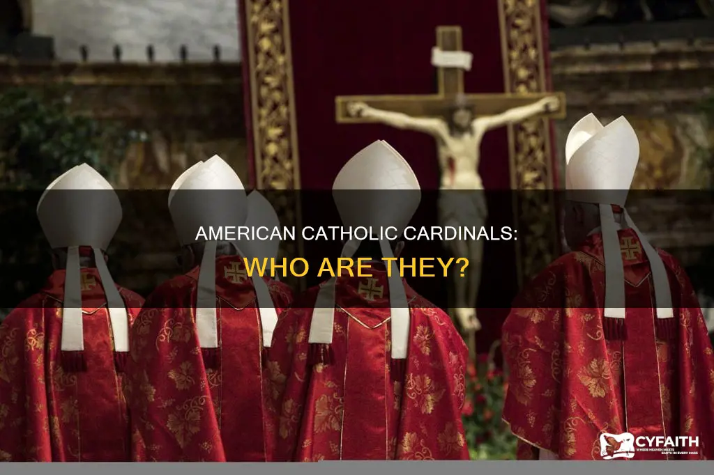 are there any american catholic cardinals