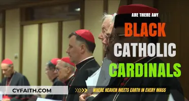 Black Catholic Cardinals: Who Are They?