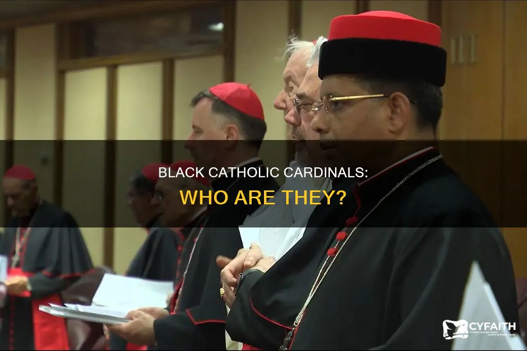 are there any black catholic cardinals