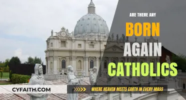 Born-Again Catholics: Is It Possible?