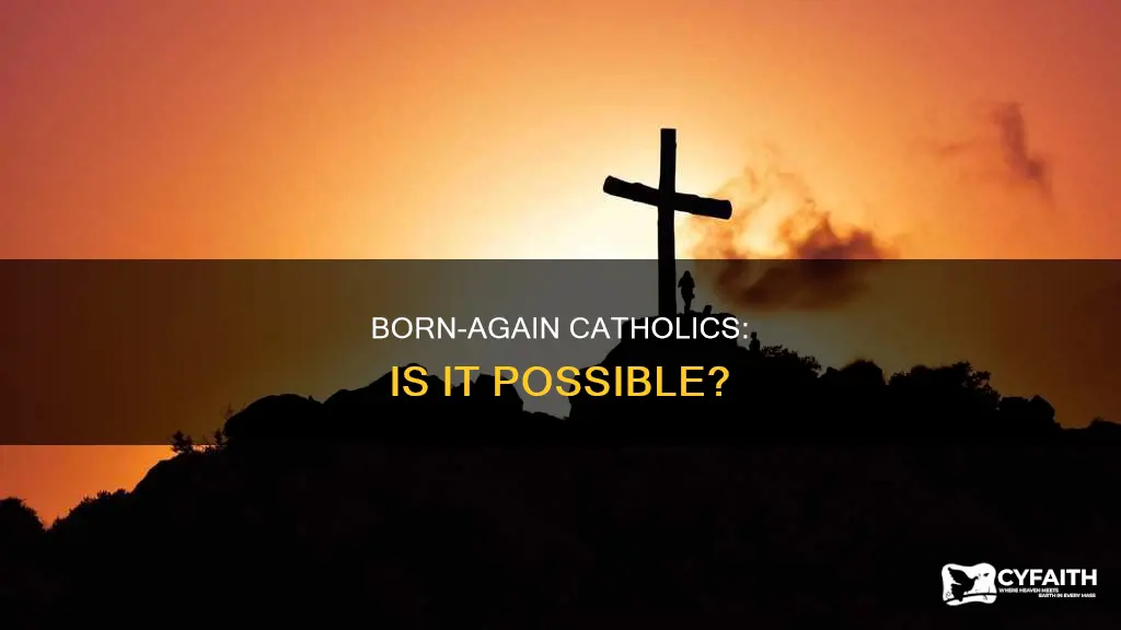 are there any born again catholics