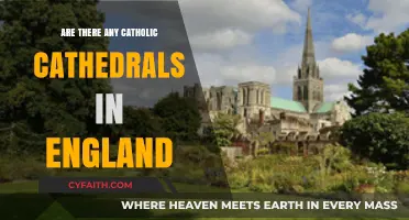 English Catholic Cathedrals: A Historical Overview