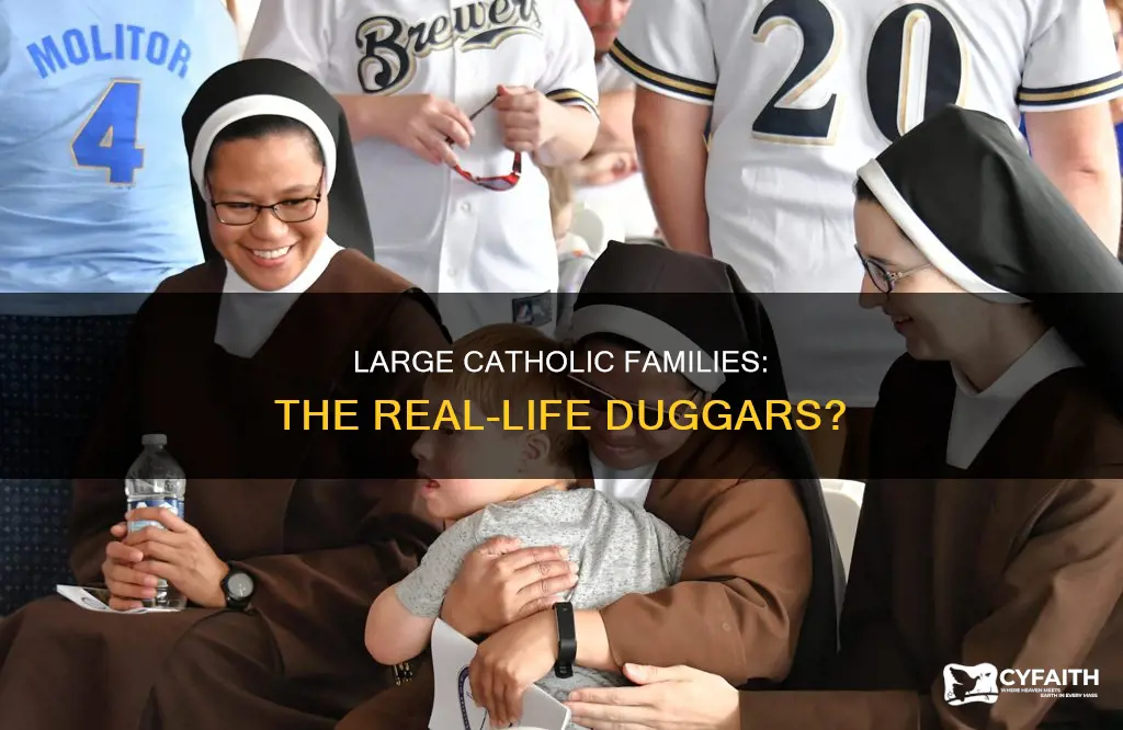are there any catholic families like the duggars