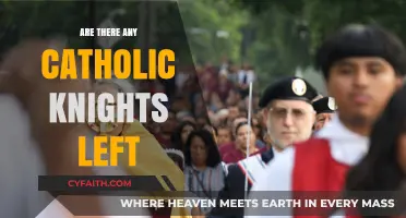 The Catholic Knights: A Dying Breed?