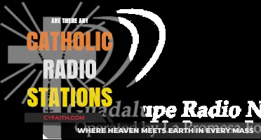 Catholic Radio: Where to Find Them?