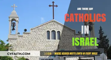 Catholics in Israel: How Many and Who?