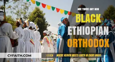Exploring Diversity: Non-Black Members in the Ethiopian Orthodox Church