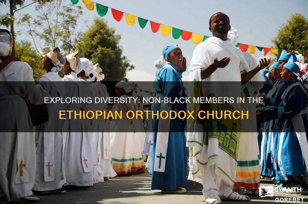 are there any non black ethiopian orthodox
