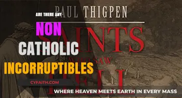 Incorruptibles: Beyond Catholicism