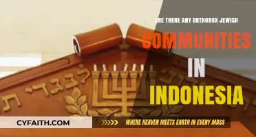 Exploring Orthodox Jewish Presence in Indonesia: A Cultural and Religious Inquiry