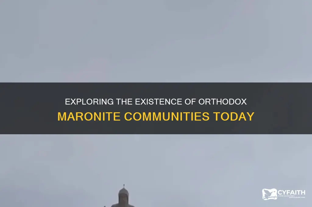 are there any orthodox maronite groups