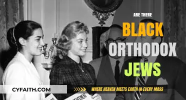 Black Orthodox Jews: Exploring Diversity in Jewish Communities