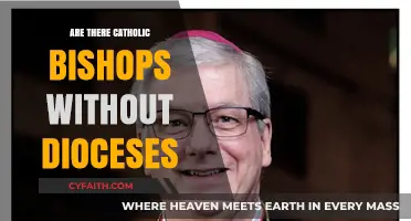 Who Are Bishops Without Dioceses in the Catholic Church?